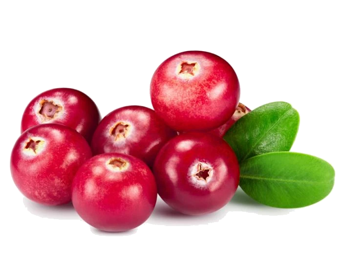 Cranberry